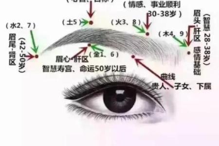 男人眉毛过于淡薄的命运揭示与风水解析