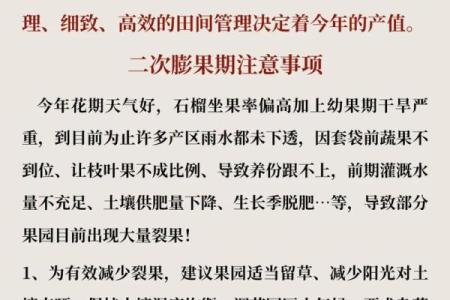 石榴木命的行业忌讳：如何避开不适合自己的职业之路