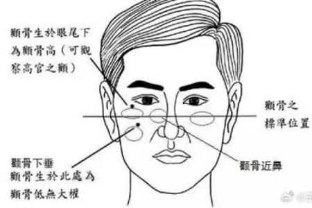 男人眼眉短的命运解析:性格与命格的深层联系