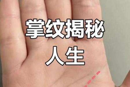 手指粗中有细，揭示命运的深层秘密
