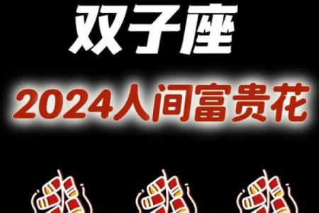 探索1996年12月3日出生的命运与性格特征