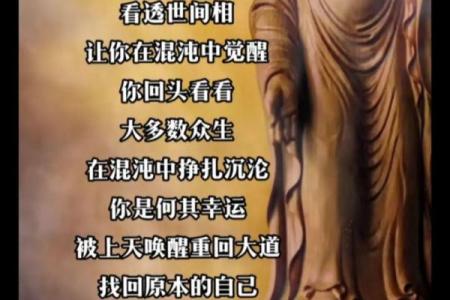 道德底层的人生命运：在道德沦陷中挣扎的灵魂