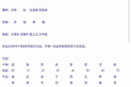 1970年出生的人命格解析：命运与特质的深度分析