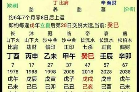 通过面相分析，探寻隐藏的富贵命格秘密