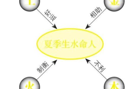 水命与木命：适合发展的事业探索之旅
