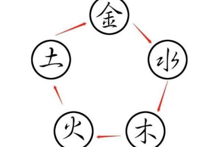 1996年出生的人：命运与五行的神秘之旅