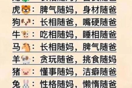 17岁女生属什么命？揭秘属相背后的命运与个性