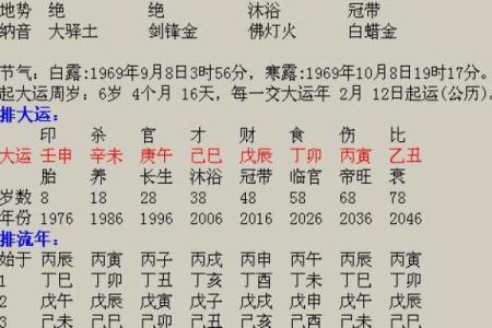 揭秘最佳财运男命，如何掌握财运与成功的秘诀！