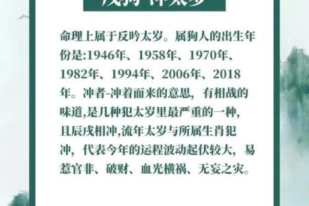14岁属狗的朋友们，您知道自己是什么命吗？一起探索狗年命理的奥秘！