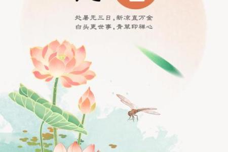 金命者在处暑转运期间忌讳事项解析