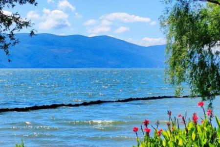 65岁属狗之人：智慧与魅力的结合，命运的自然规律！