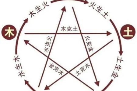 60年命运：从金木水火土解读人生之旅
