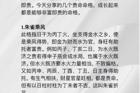 探秘辛巳癸巳格命的命理奥秘与人生启示