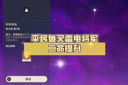 雷电将军的神秘命之力：如何提升角色实力与战斗体验