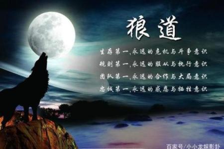 空手先生与命魂的终极选择，揭秘宿命的力量！