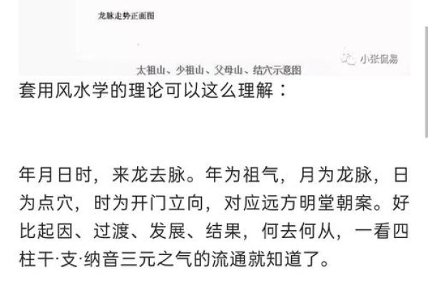 揭开命理的奥秘：年柱与年命的深刻解析