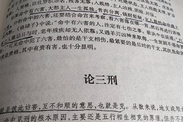 揭开壁上土命的神秘面纱：如何迎接人生的旺盛与成长
