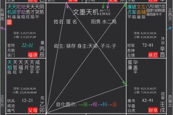 解析身主禄存命主天相，揭示命格中的秘密与潜能