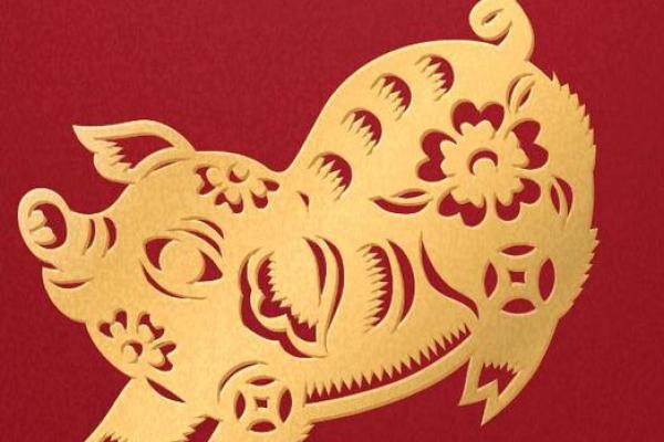 25岁属猪人的命运分析与人生建议 25岁属猪人的命运分析与人生建议