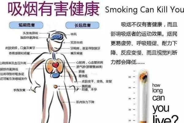 疾病遭命：从健康到绝境的无声旅程
