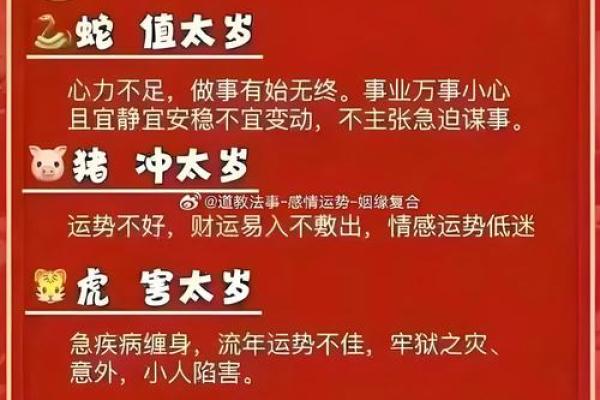 生肖贵妃命：揭秘哪些生肖与华丽命运相伴相生
