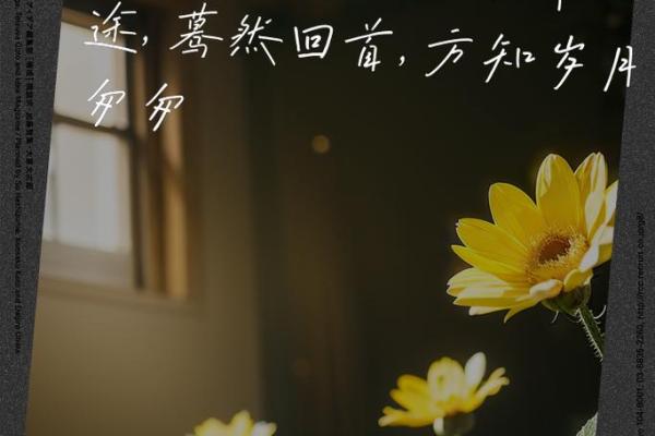 1939年出生的80岁命运：当岁月成为智慧的积累与人生的轮回