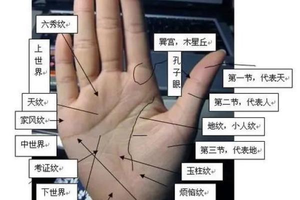 探秘手掌纹路：从掌纹看你的命运与性格