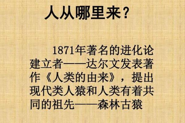 《潜伏的野兽:内心深处的挣扎与救赎》 《潜伏的野兽:内心深处的挣扎与救赎》
