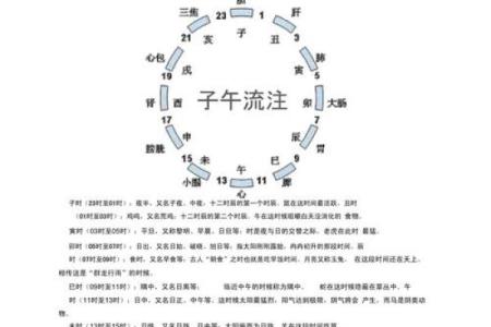 解读“命古今”，生肖背后的故事与启示