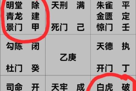 算命中的银命：揭示命运与性格的秘密之门
