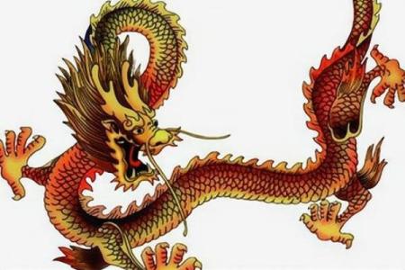 属龙女1988：她的命运与性格解析，如何掌握人生的方向