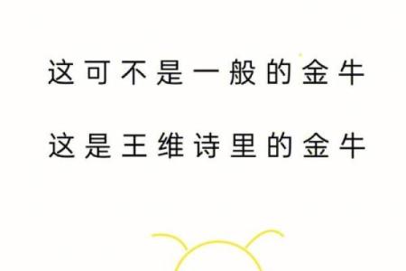 探秘属小龙的人：命理与性格的深度解析
