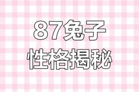 1987年兔年宝宝的命运与性格解析