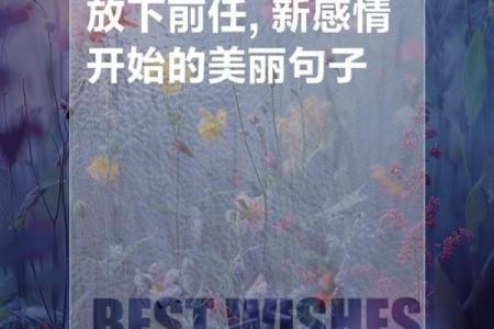 改变命运：当你放下赌桌，迎接新生的曙光