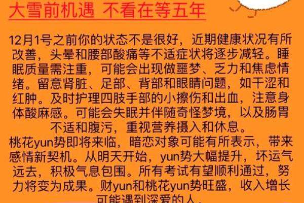 2029年属鸡人生方向解析：揭秘“土鸡”的命运与机遇