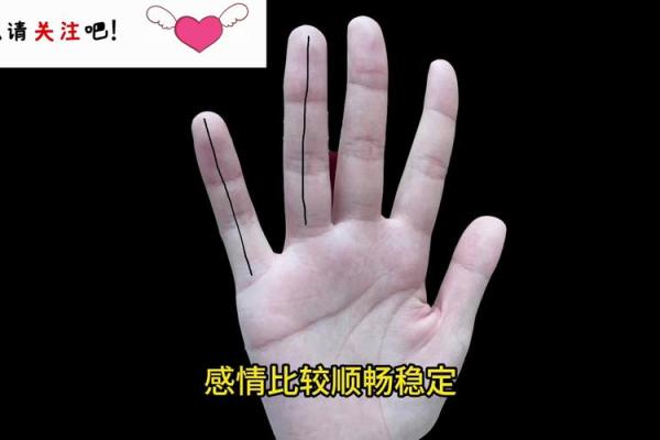 探秘手指凤眼纹：命运与性格的深刻联系
