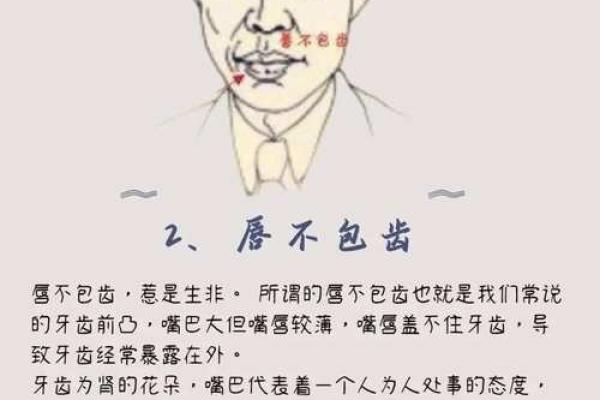颧骨突出外翻的命运解析：面相与人生的奥秘