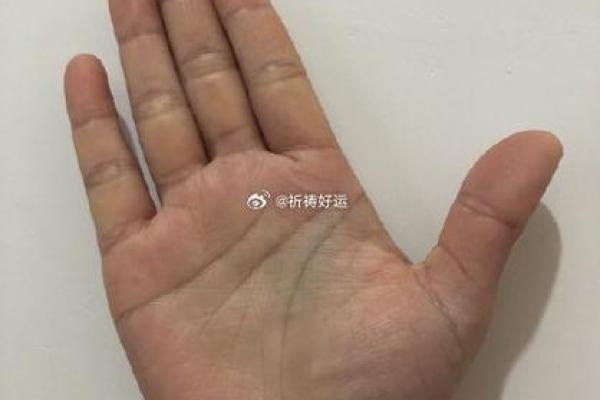 右手虎口星命解析：你的命运与手相的秘密