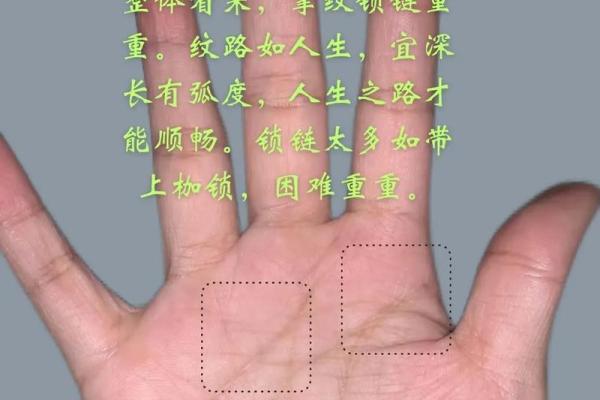 手纹乱的人有什么命运？解密掌纹的神秘与启示！