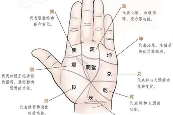 手纹乱的人有什么命运？解密掌纹的神秘与启示！