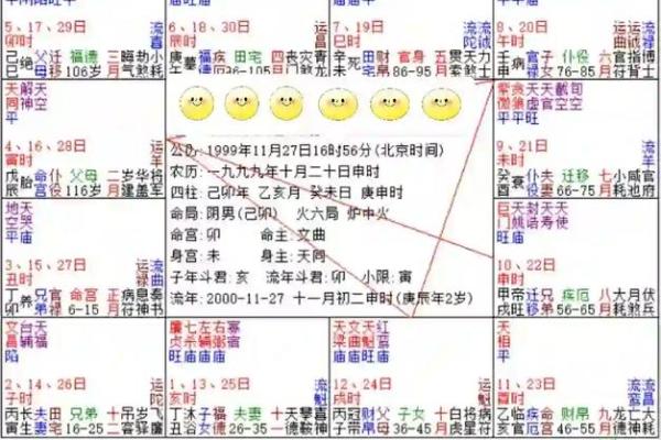 揭秘紫薇盘:哪些命主最具优势与潜力? 揭秘紫薇盘:哪些命主最具优势与潜力?