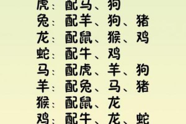属狗女性的命格解析：生活智慧与独特魅力的交融