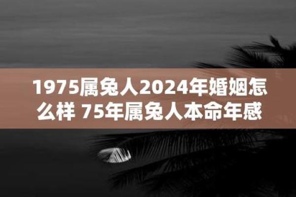 揭秘75年出生的人命运与楼层的神秘关系 揭秘75年出生的人命运与楼层的神秘关系