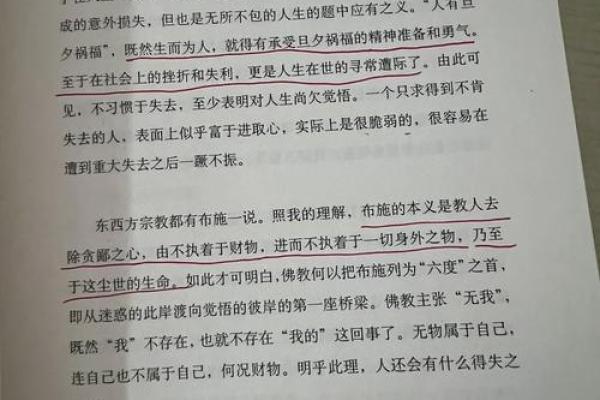甲木命人的命格解析：探索生命的勇气与智慧