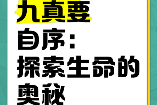 解锁生命的奥秘：透视命理与真实自我之道