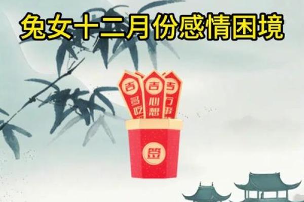 1999年出生的兔子命运解析：叩响机遇之门的精彩人生