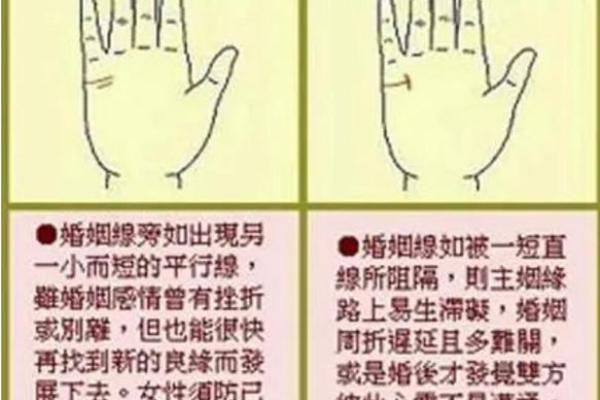 揭示女性命运的手纹：如何看懂你的手掌秘密
