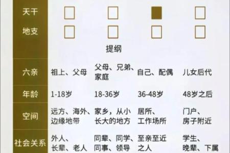 1948年出生的命理解析：五行属性与人生运势