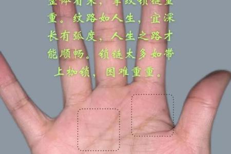 手纹乱的人有什么命运？解密掌纹的神秘与启示！