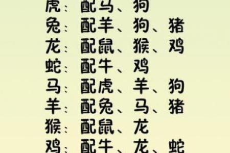属狗女性的命格解析：生活智慧与独特魅力的交融